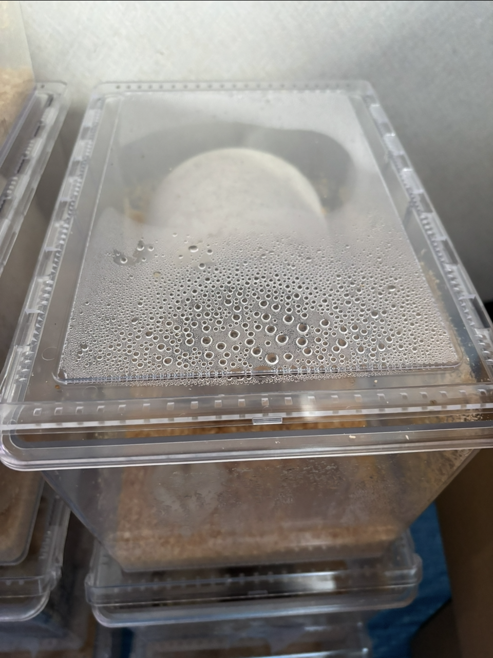 湿気がすごい