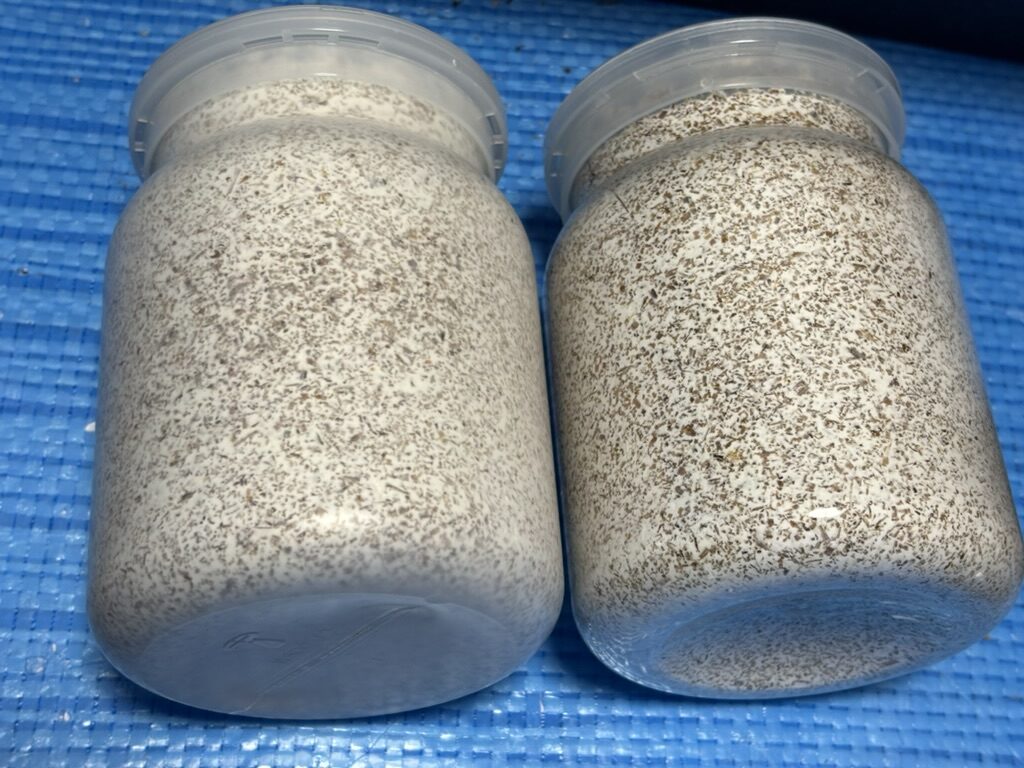 菌糸瓶底部の形状