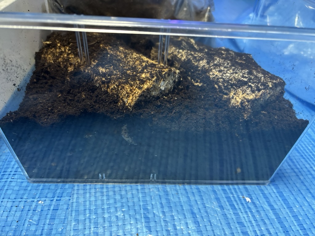 埋め込み用マットをかける