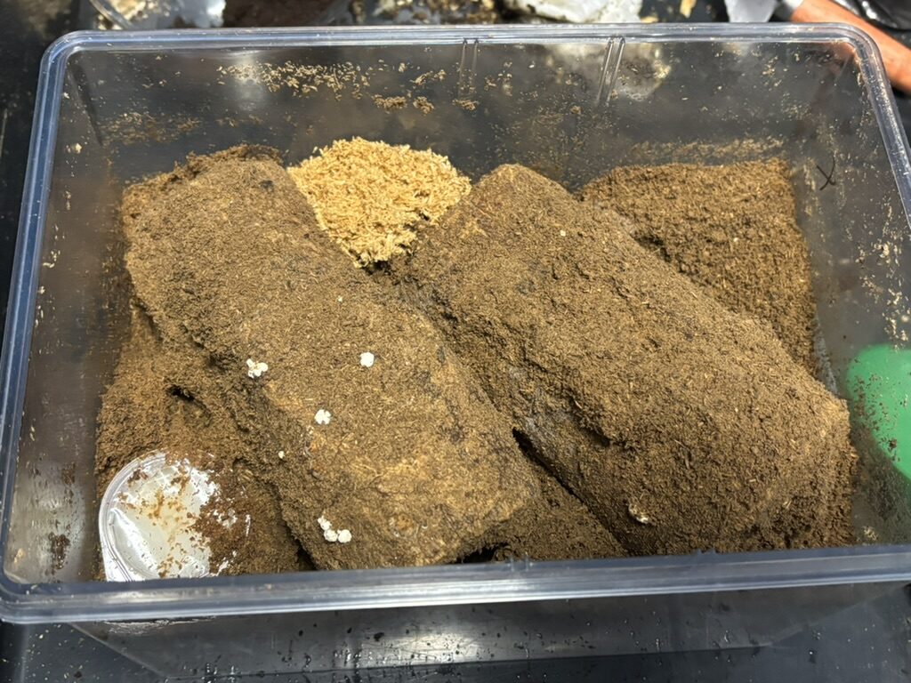 材に穿孔タイプ